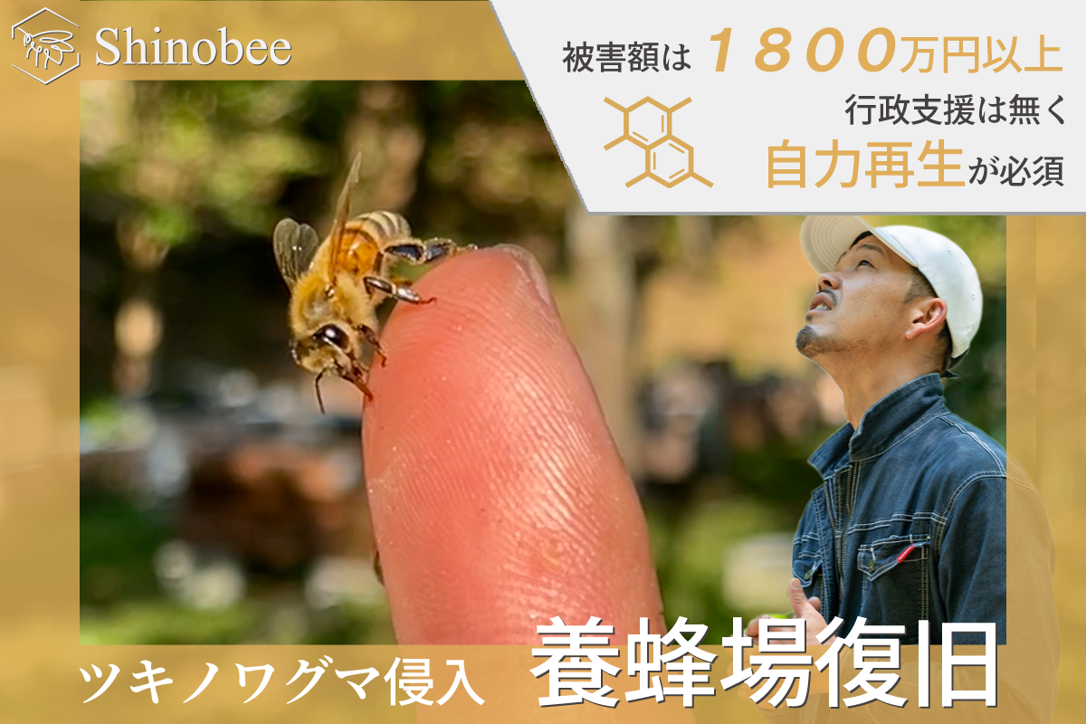 熊によって半壊【被害額1800万円超】兵庫県宍粟市の養蜂場復旧と生はちみつの提供
