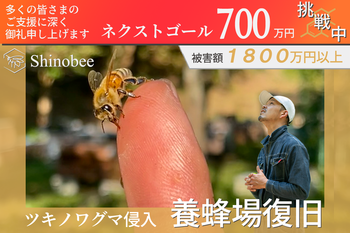 Amazon.co.jp: みつばち健康法 : 深沢光一: 本