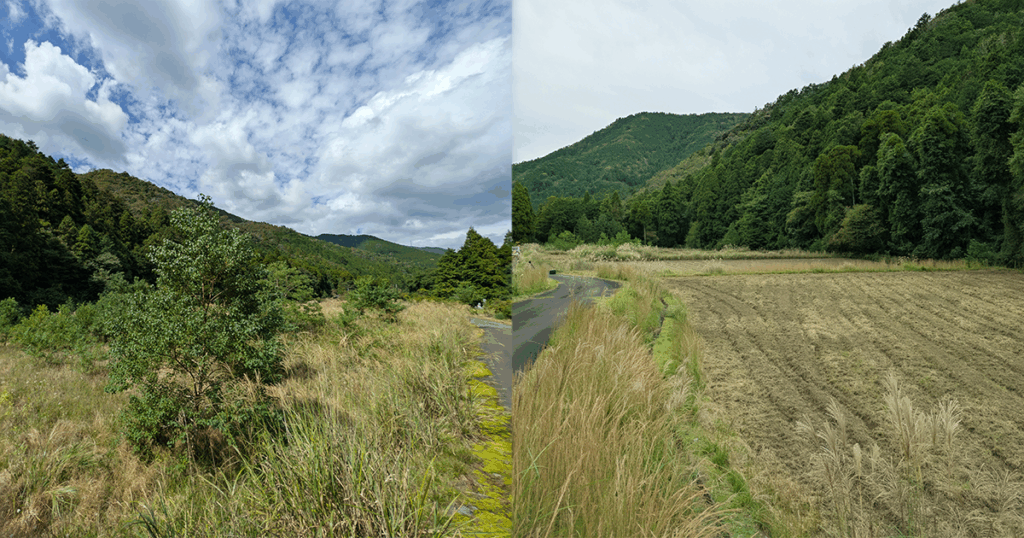 耕作放棄地の開墾前後。花織里プロジェクトの進捗（開墾〜播種）
