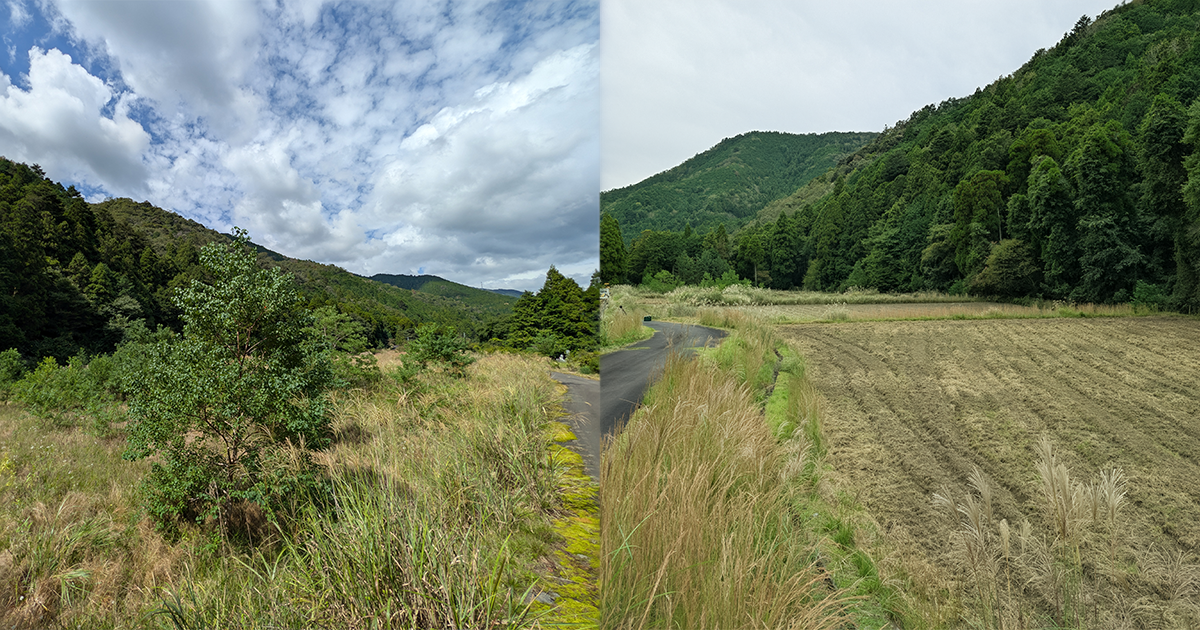 耕作放棄地の開墾前後。花織里プロジェクトの進捗（開墾〜播種）