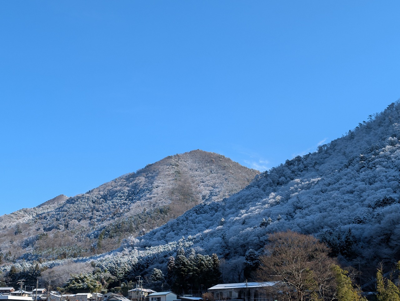 兵庫県宍粟市の雪山