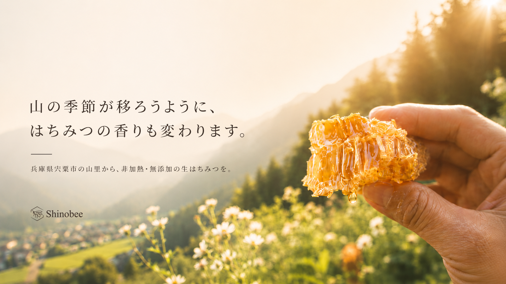 夕暮れの背景にとれたてのはちみつを持つ